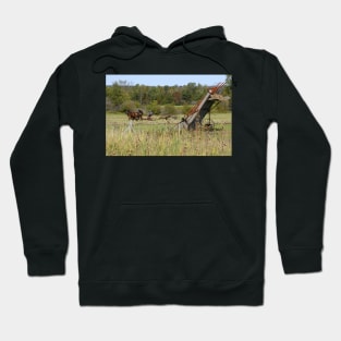 Farming the land Hoodie